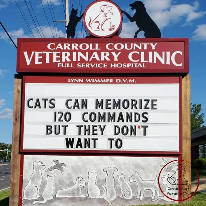 20 Divertidos carteles frente a esta clínica veterinaria que te harán sonreír