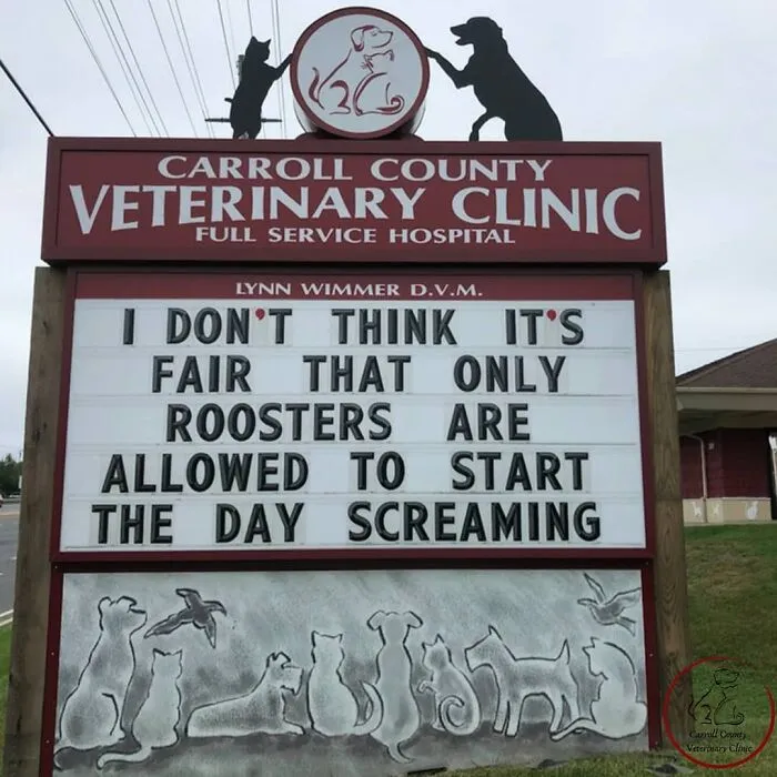 20 Divertidos carteles frente a esta clínica veterinaria que te harán sonreír