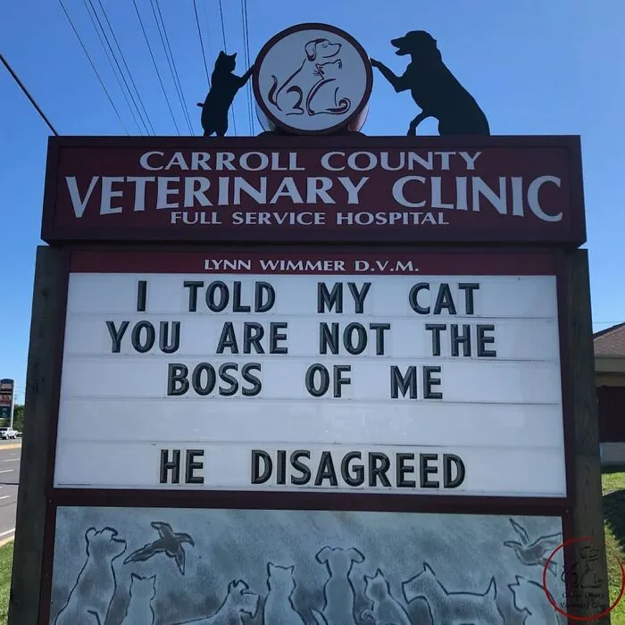 20 Divertidos carteles frente a esta clínica veterinaria que te harán sonreír
