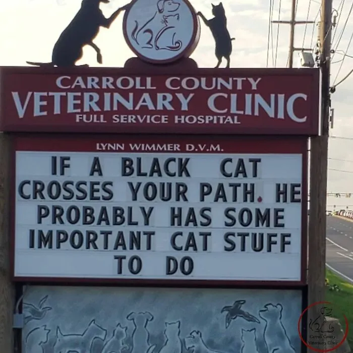 20 Divertidos carteles frente a esta clínica veterinaria que te harán sonreír