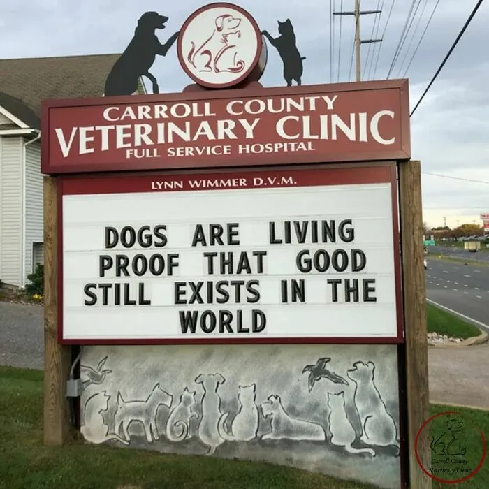 20 Divertidos carteles frente a esta clínica veterinaria que te harán sonreír