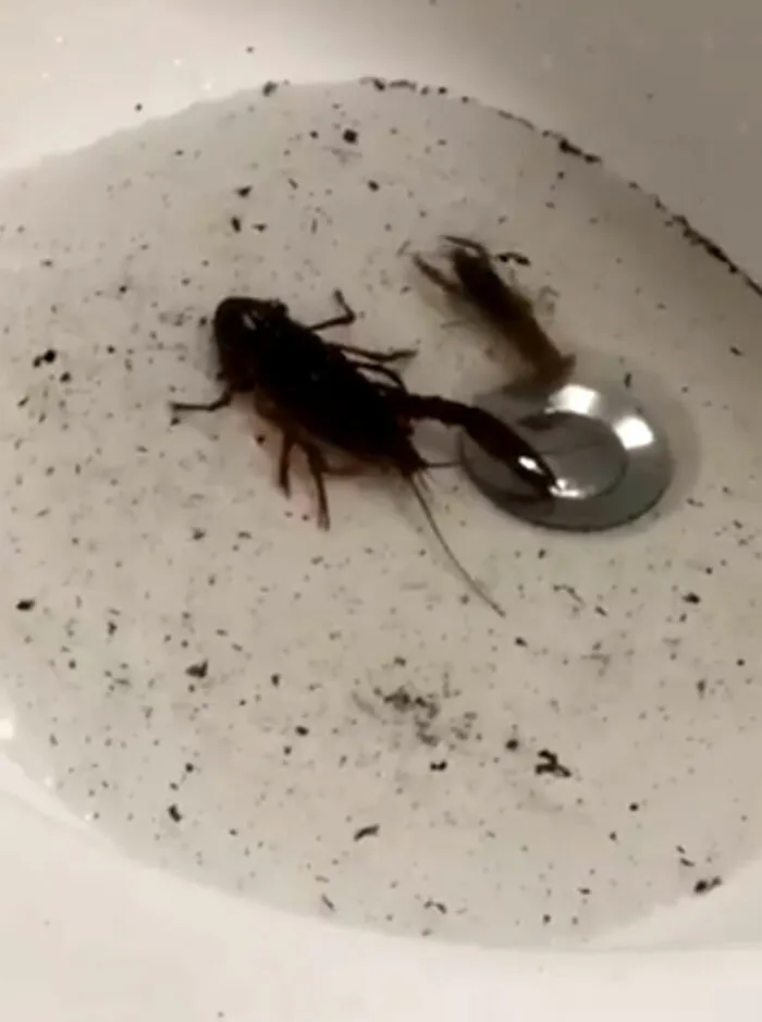 People On Twitter Share Pics Of Weird Stuff In Guys' Bathrooms And Here Are 35 Of The Best Ones