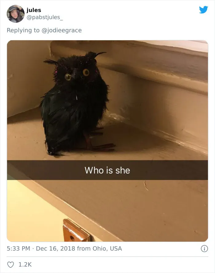 People On Twitter Share Pics Of Weird Stuff In Guys' Bathrooms And Here Are 35 Of The Best Ones