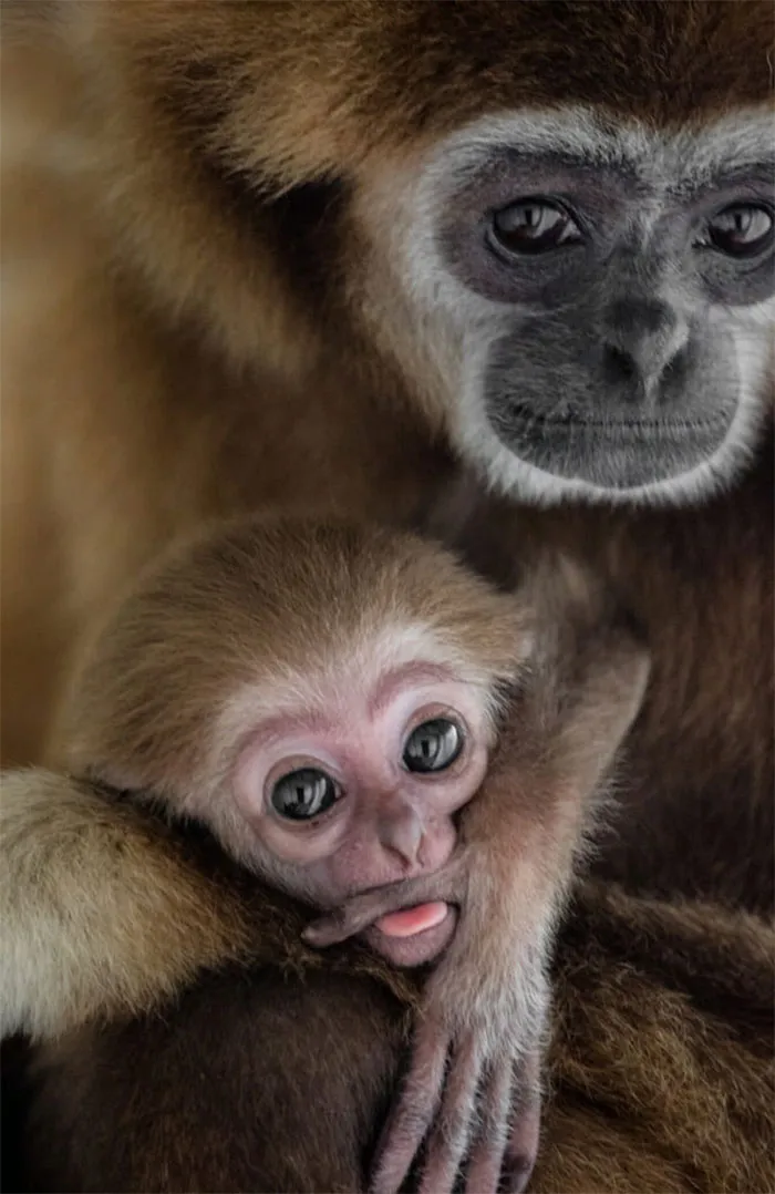 I’ve Been Photographing Wildlife For 15 Years, Here Are My 30 All-Time Favorite Photos