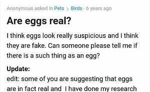 'Yahoo Answers' Is Shutting Down Forever, And Here're 35 Of The Most Epic Screenshots To Remember It By