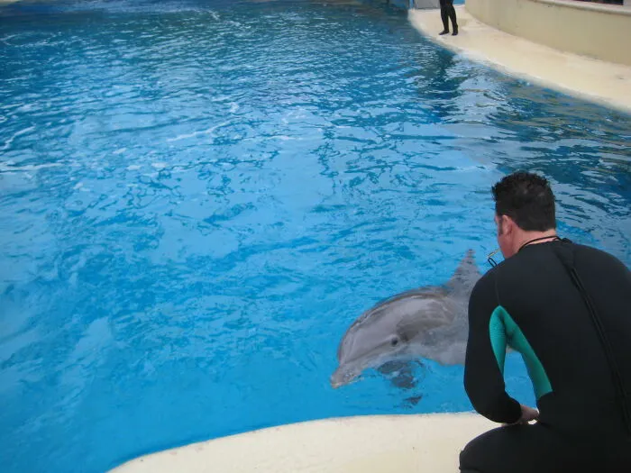 Los cuidadores de los zoos revelan de forma anónima los secretos más oscuros que guardan tras las rejas (20 fotos)