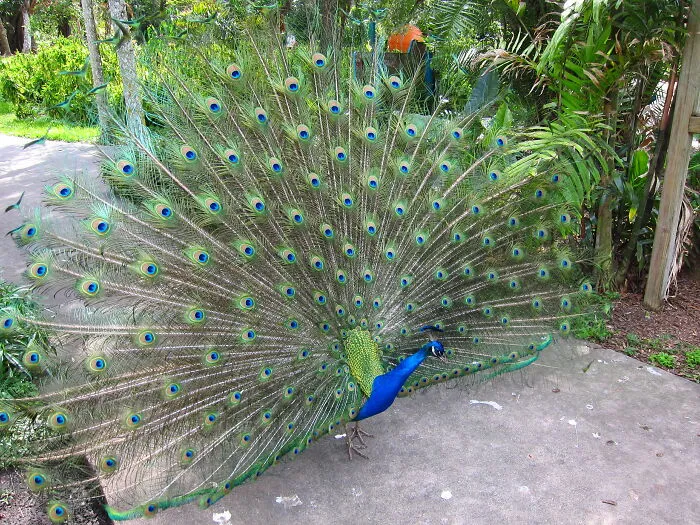 Zookeepers Anonymously Reveal The Darkest Zoo Secrets They Keep Shut Behind Bars (35 Pics)