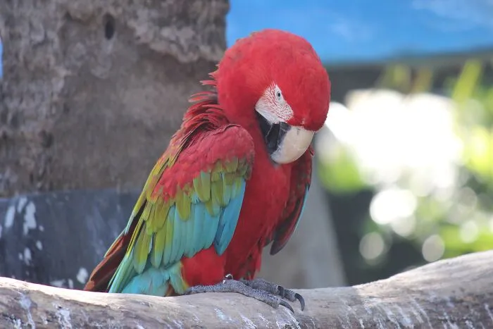 Los cuidadores de los zoos revelan de forma anónima los secretos más oscuros que guardan tras las rejas (20 fotos)