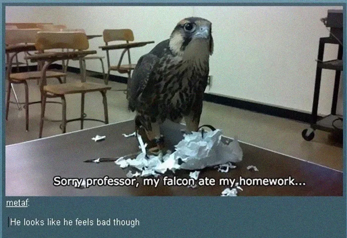 He Does Though