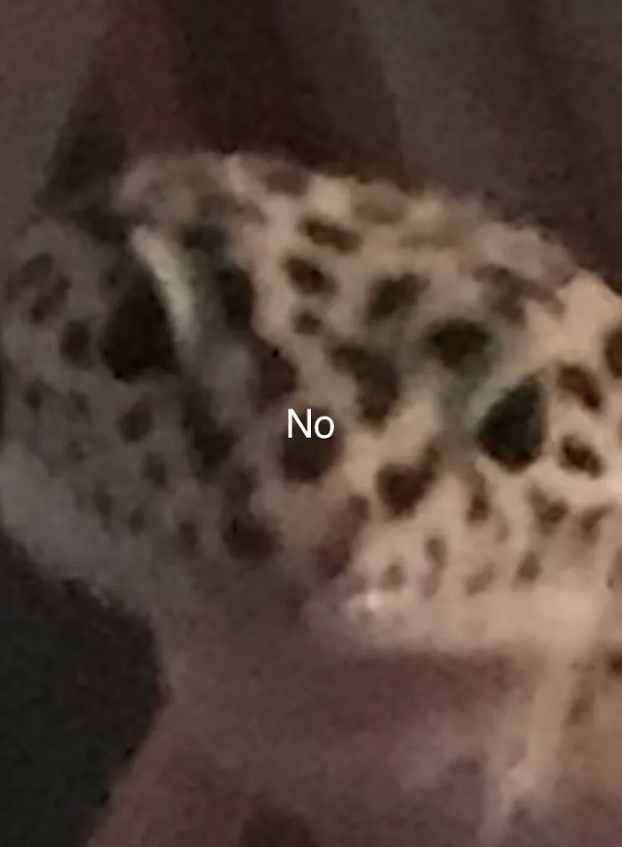 No