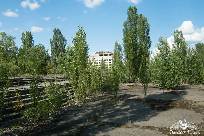 Vegetation Overgrows The Streets Of The Town Of Pripyat, With Hotel Polissya In The Distance
