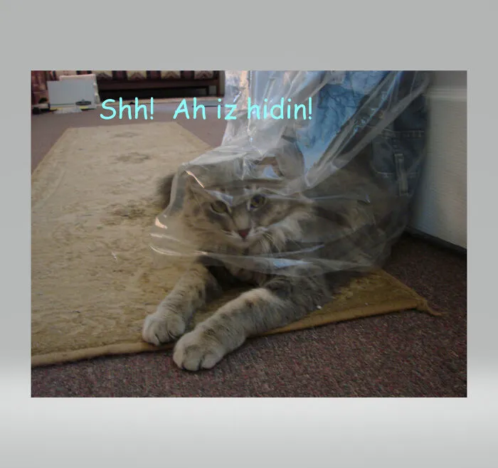 Shhh!  Ah Iz Hidin!