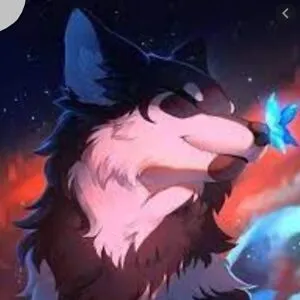 CaptainWolfy125