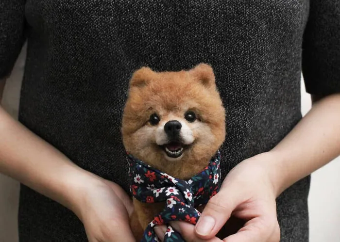 This Artist Makes Hyper-Realistic Wool Animal Sculptures, Here Are Her Best 70 Works