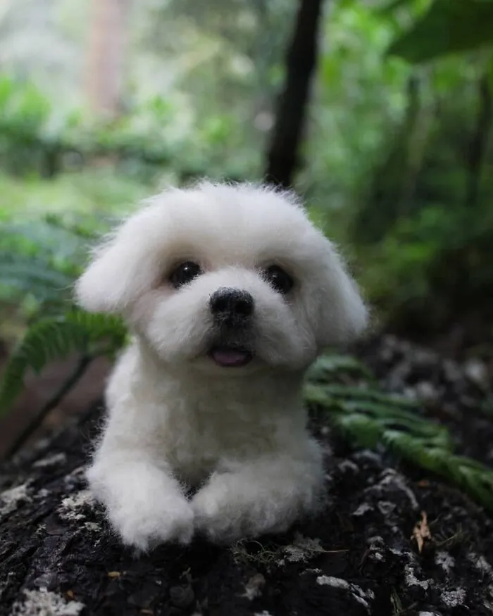 This Artist Makes Hyper-Realistic Wool Animal Sculptures, Here Are Her Best 70 Works
