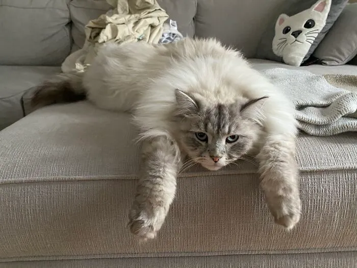 ... I Get It... You’re Bored!
