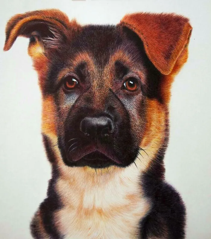 43 Photo-Like Drawings Made With Ballpoint Pens By Mostafa Khodeir
