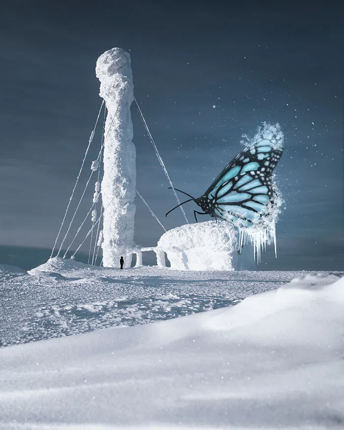 Frozen Mariposa