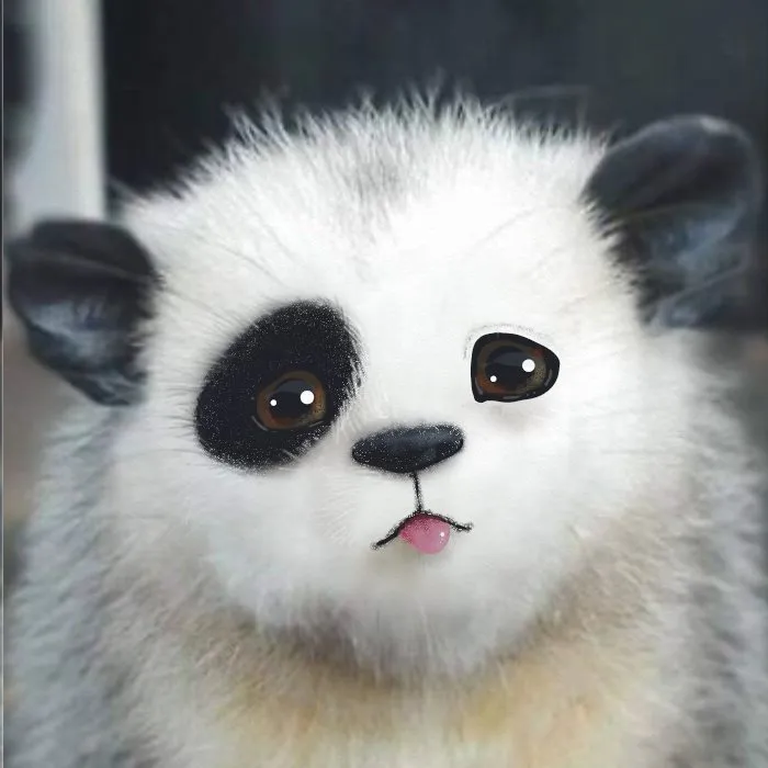 Pandapossum, Very Bored
