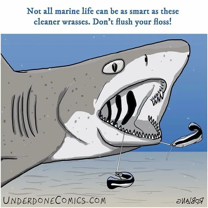 I Draw Comics To Show How Plastic Waste Affects Marine Life (30 Pics)