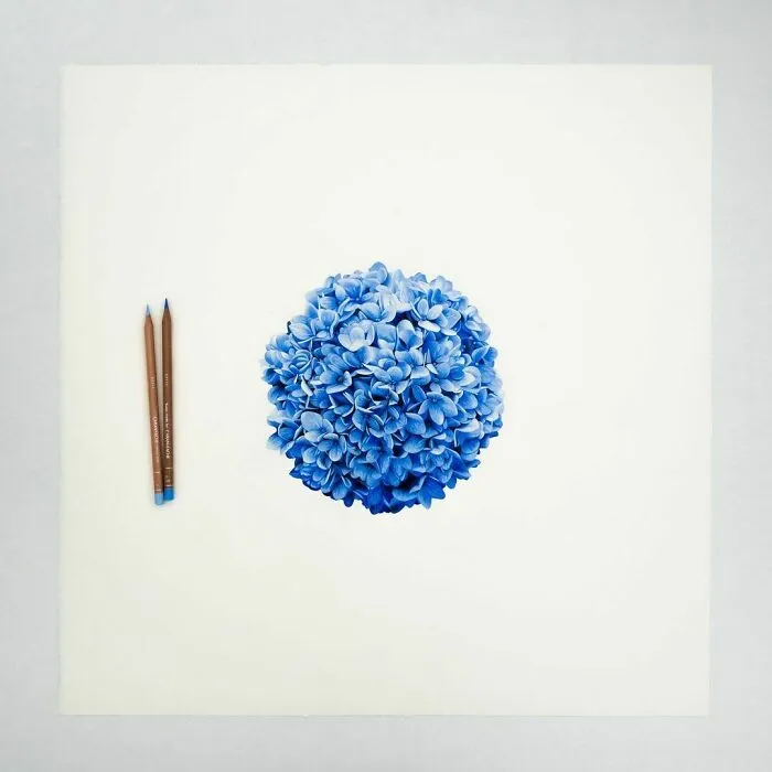 36 Mind-Boggling Hyperrealistic Pencil Drawings By Alessandro Paglia (New Pics)