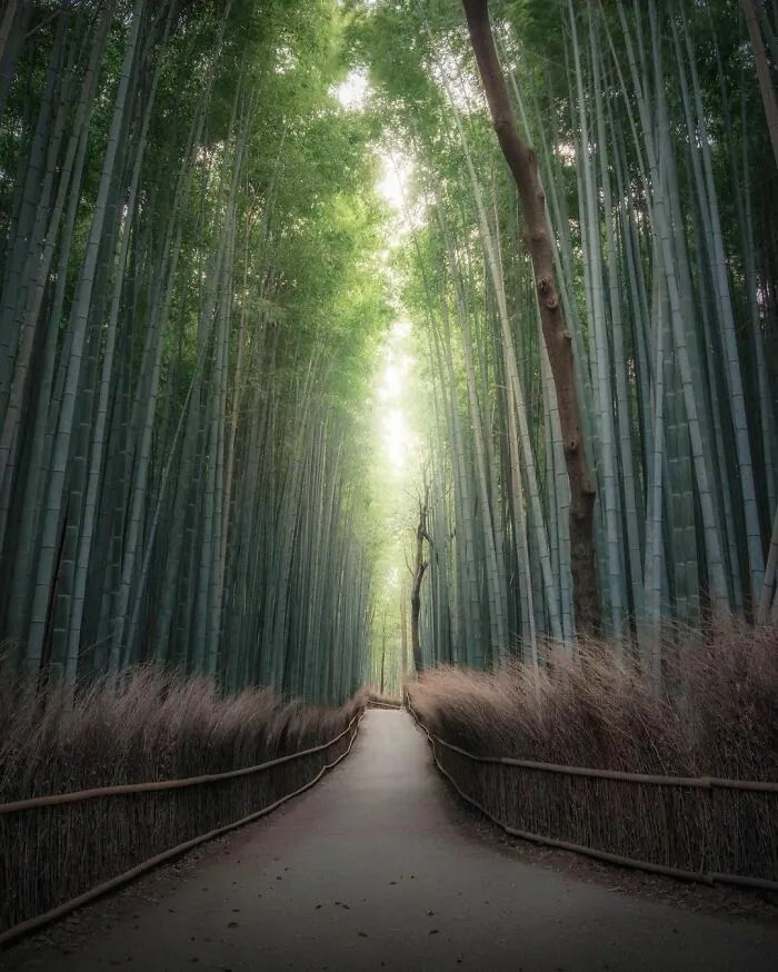 Kyoto, Japan