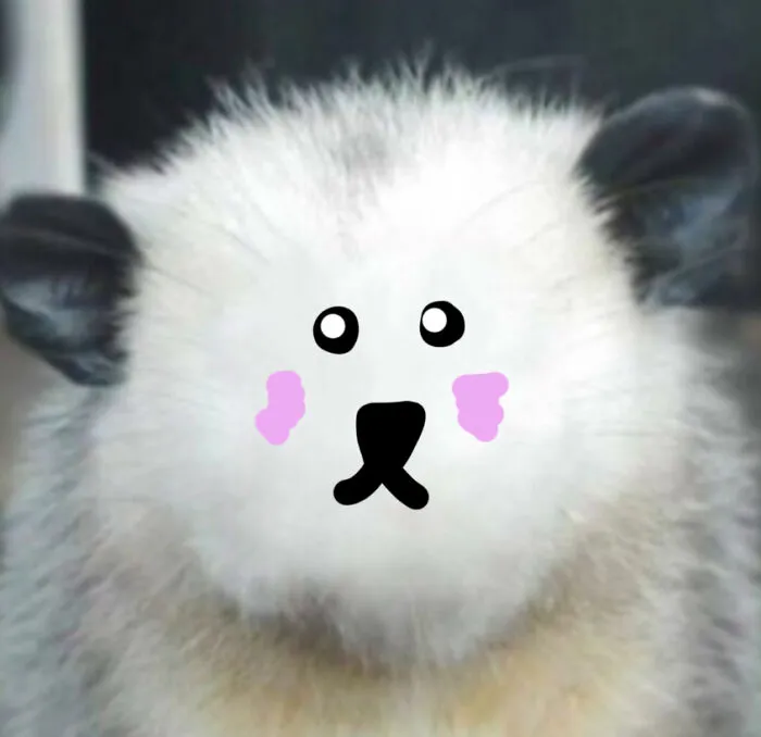 Idk