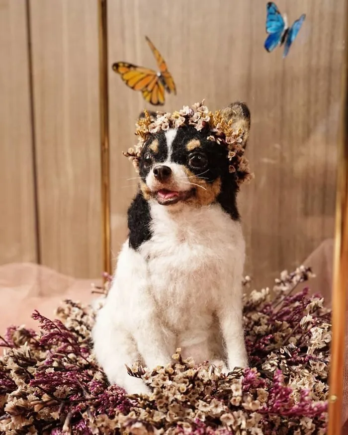This Artist Makes Hyper-Realistic Wool Animal Sculptures, Here Are Her Best 70 Works