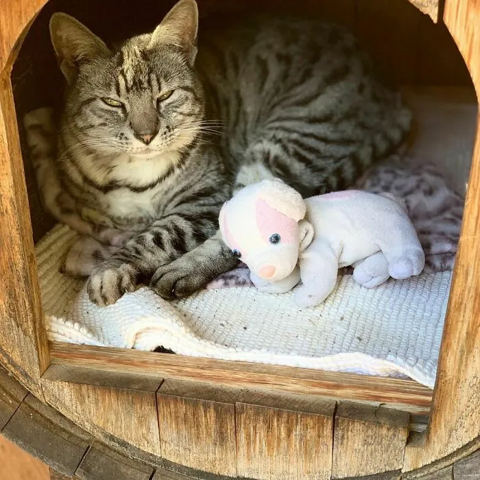 Visiting A Friend, Not Sure She Really Likes Me Though
