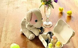 My Daughter Went To College And Left Her Childhood Toy At Home, So I Took These 40 Photos To Cheer Up And Fight The 'Empty Nest Syndrome'