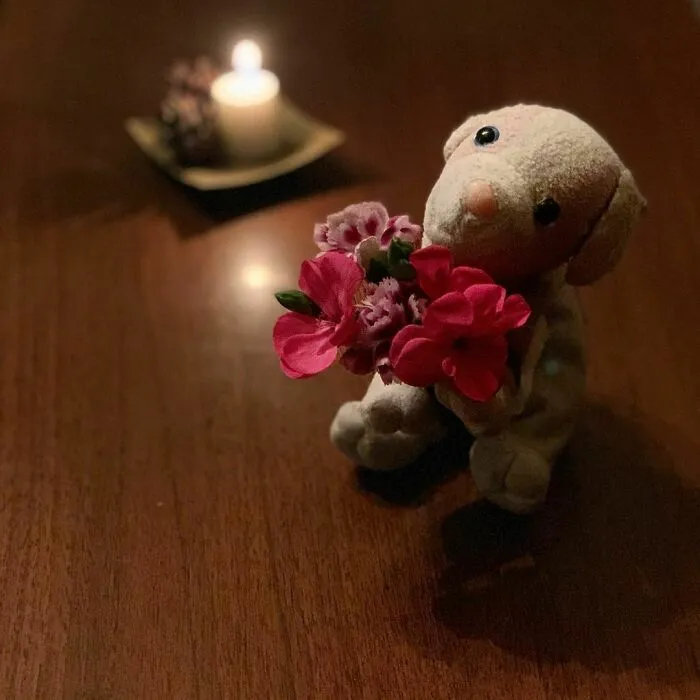 He Just Wanted To Wish You All Good Night