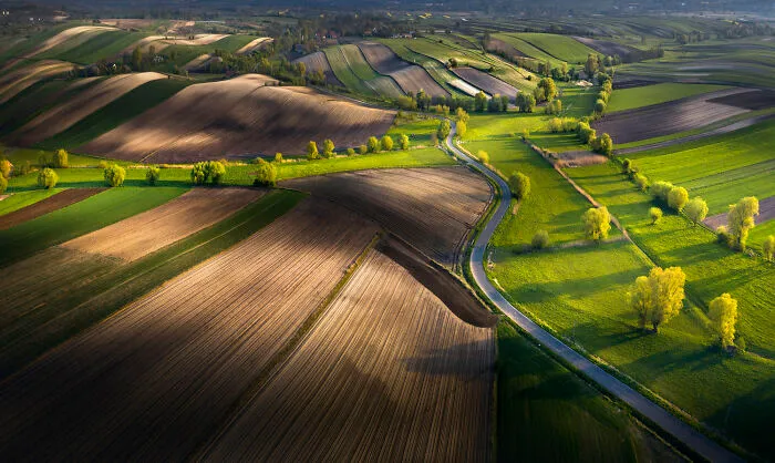 Fields Of Ponidzie