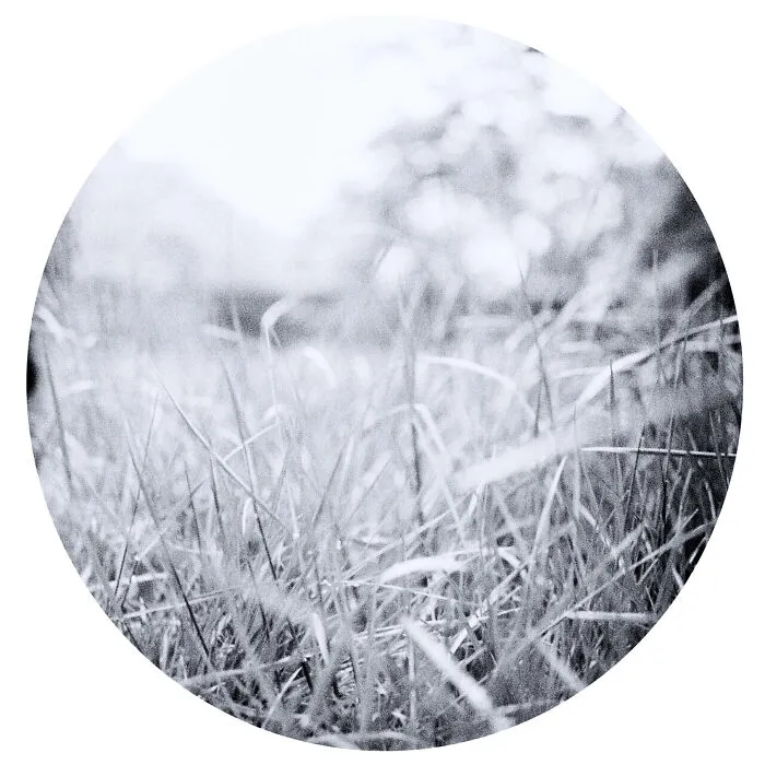 Grass