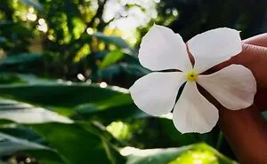 I Discovered The Beauty That's Around Us (7 Pics)