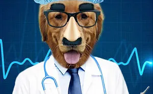 Hey Pandas, Photoshop Your Pets To Make Them Look Weird (Closed)