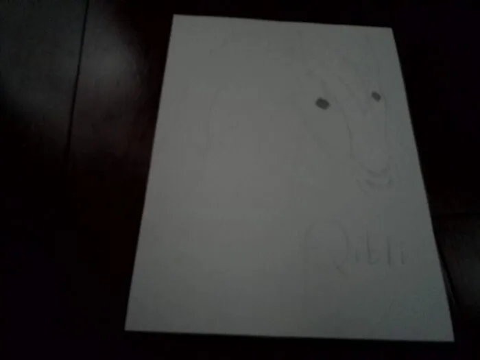 My Horrible Drawing (Sorry, It's Blurry:
