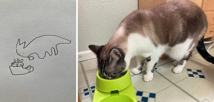 I See No Difference