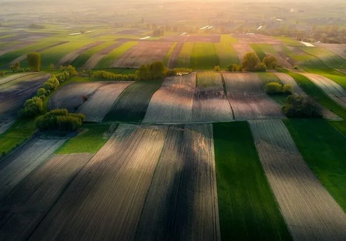 Ponidze