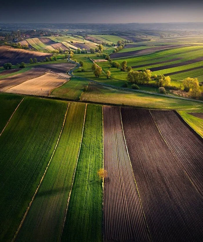 Ponidze