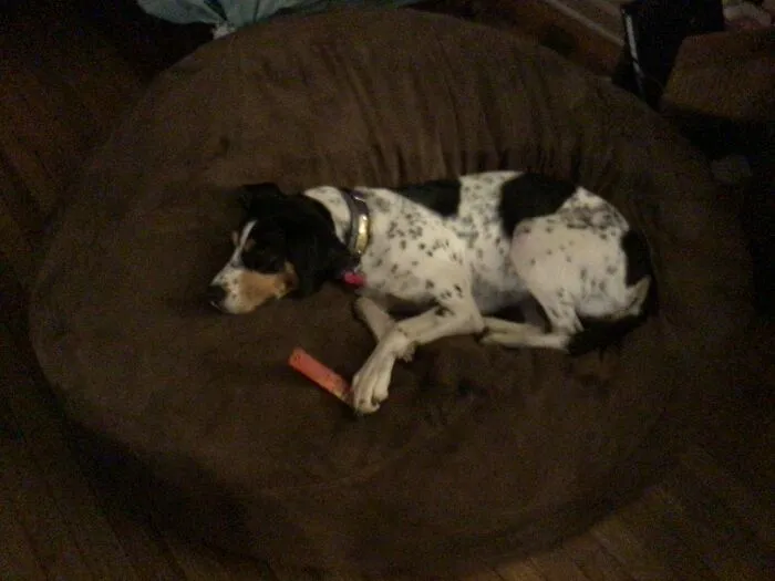 When I Get Tired Of Life