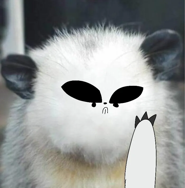 The Two Emotions Of Possum