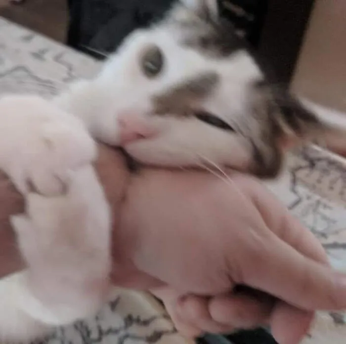 This Is His Happy Face