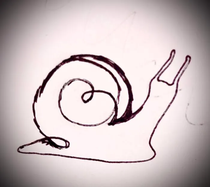 Heart On Its Shell