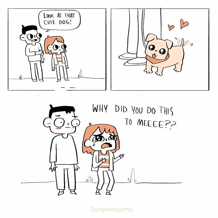 Hey Pandas! Show A Pic Of Your Pet And Then Show A Pic Of What Pet You Want!