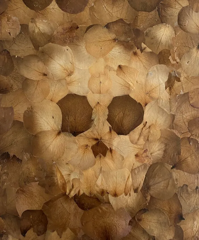 Head, 2014