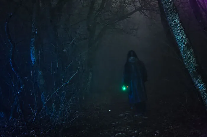 Path Through The Fog (2015)