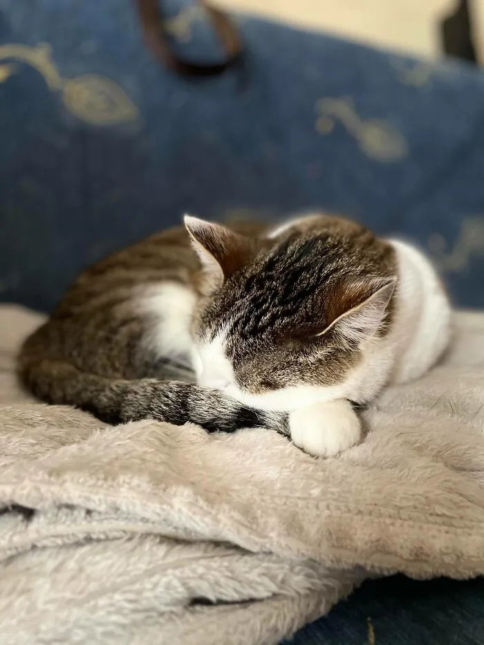 Our Baby