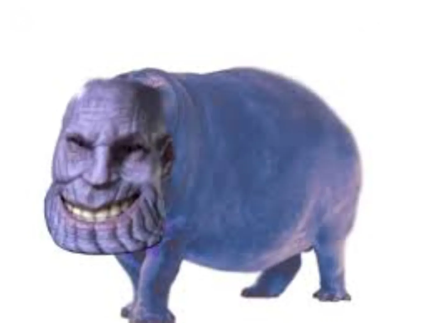 Hey Panda's Make The Best Meme For This