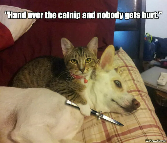 Uh Oh 