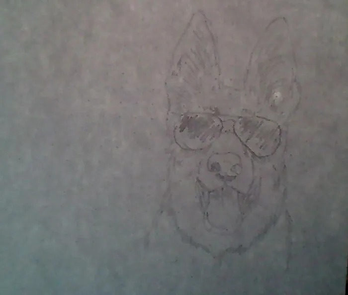 When You Draw A Dog, And You Liked What It Looked Like, So You Took A Picture, And The Dog Blurred